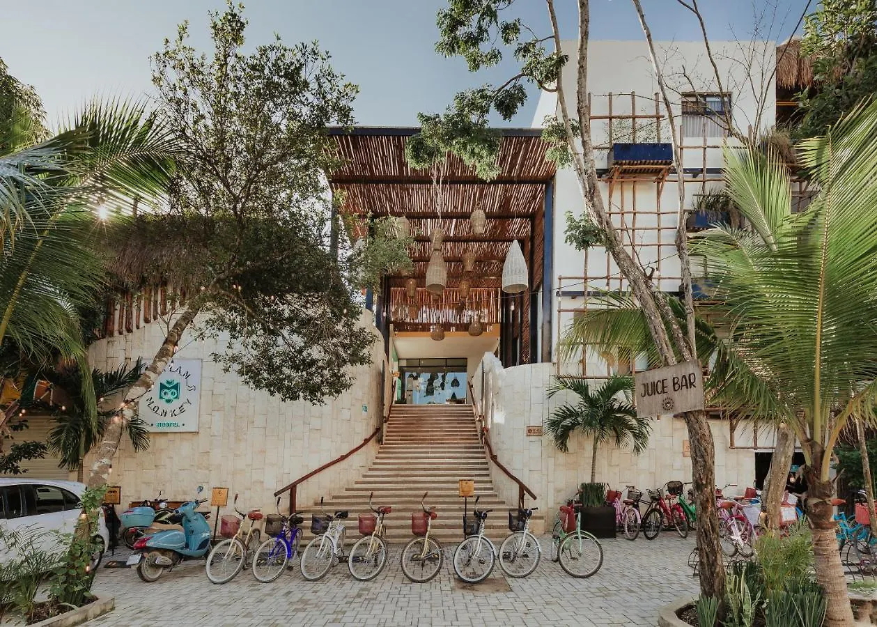 Ostello Mayan Monkey Tulum - Social Hotel (Adults Only)